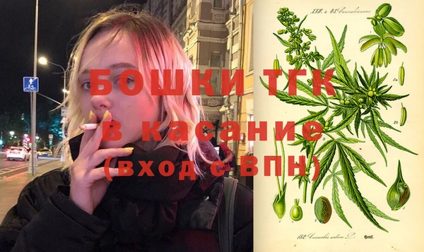 ПСИЛОЦИБИНОВЫЕ ГРИБЫ Осинники