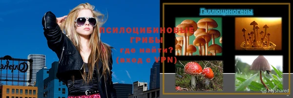 ПСИЛОЦИБИНОВЫЕ ГРИБЫ Осинники