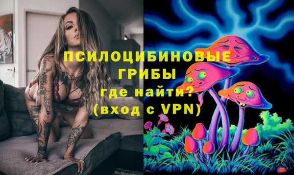 ПСИЛОЦИБИНОВЫЕ ГРИБЫ Осинники
