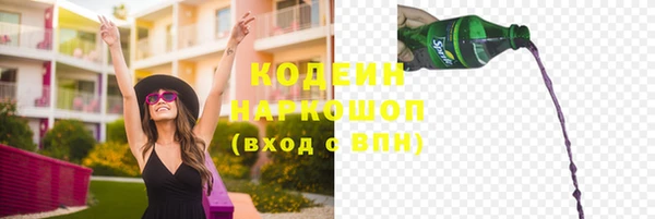 ПСИЛОЦИБИНОВЫЕ ГРИБЫ Осинники