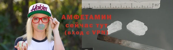 ПСИЛОЦИБИНОВЫЕ ГРИБЫ Осинники