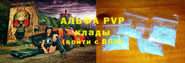 ПСИЛОЦИБИНОВЫЕ ГРИБЫ Осинники
