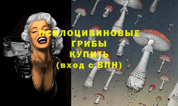 ПСИЛОЦИБИНОВЫЕ ГРИБЫ Осинники