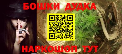 шишки Кандалакша