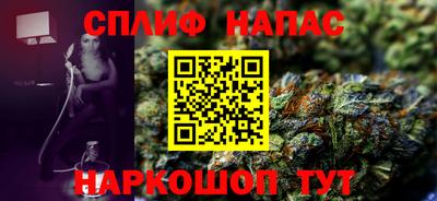 шишки Кандалакша