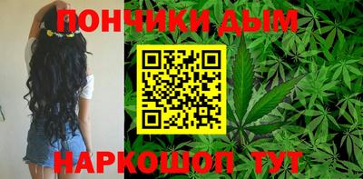 шишки Кандалакша