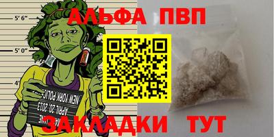 шишки Кандалакша
