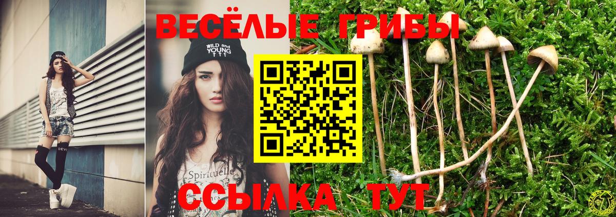 Галлюциногенные грибы Cubensis  Когалым  Галлюциногенные грибы GOLDEN TEACHER 